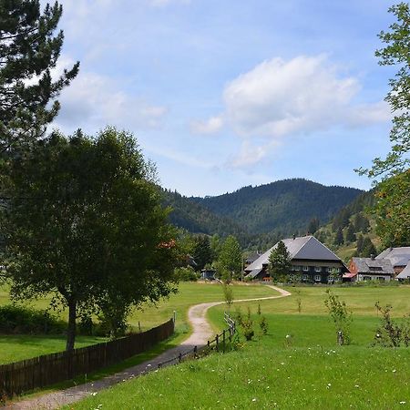Ferienwohnungen Sternenthal Menzenschwand Exterior photo