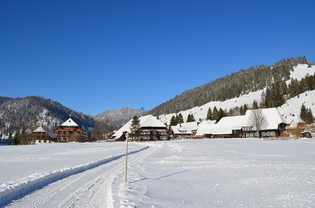 Ferienwohnungen Sternenthal Menzenschwand Exterior photo