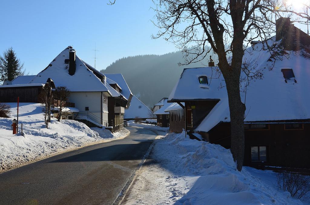 Ferienwohnungen Sternenthal Menzenschwand Exterior photo