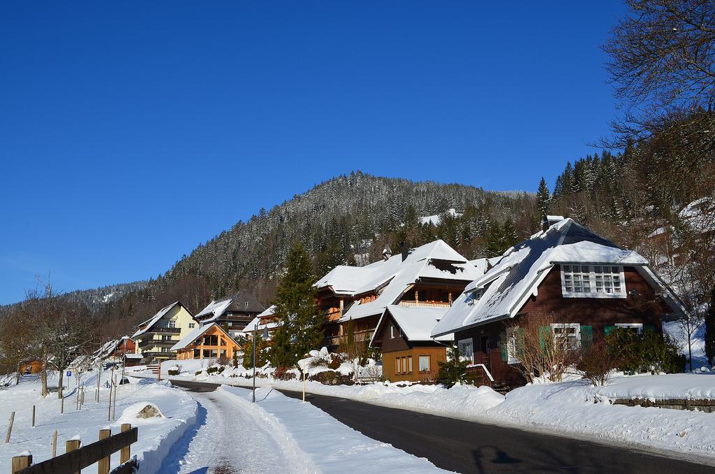 Ferienwohnungen Sternenthal Menzenschwand Exterior photo